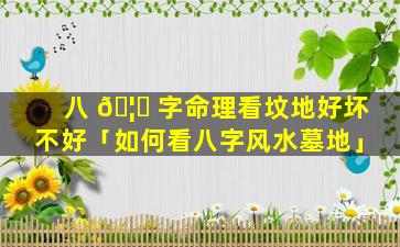 八 🦟 字命理看坟地好坏不好「如何看八字风水墓地」